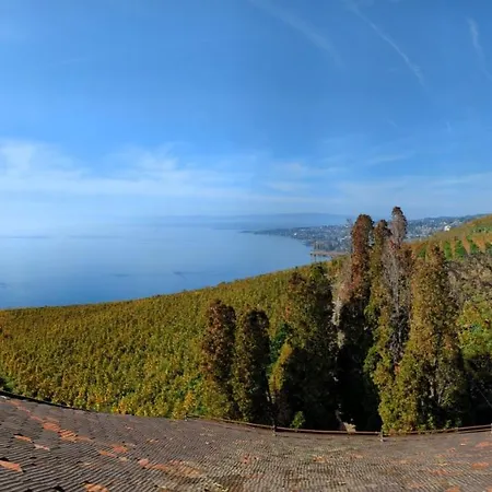 Διαμέρισμα Domaine De La Crausaz Grandvaux