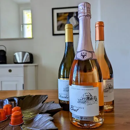 Domaine De La Crausaz 아파트 *